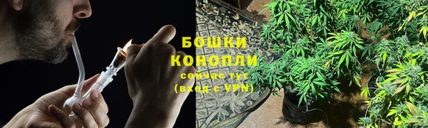 трава Козельск