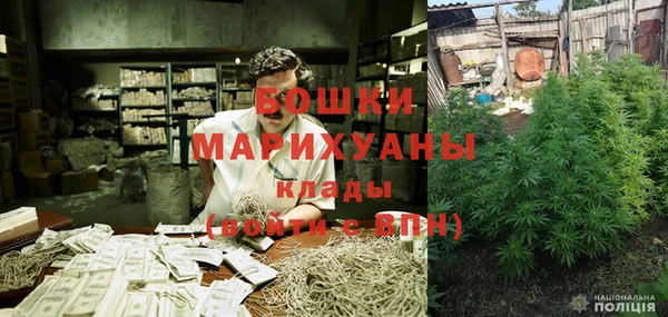 гидра Калининец