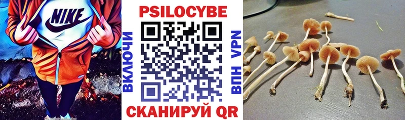 цены наркотик  Балаково  Псилоцибиновые грибы мицелий 