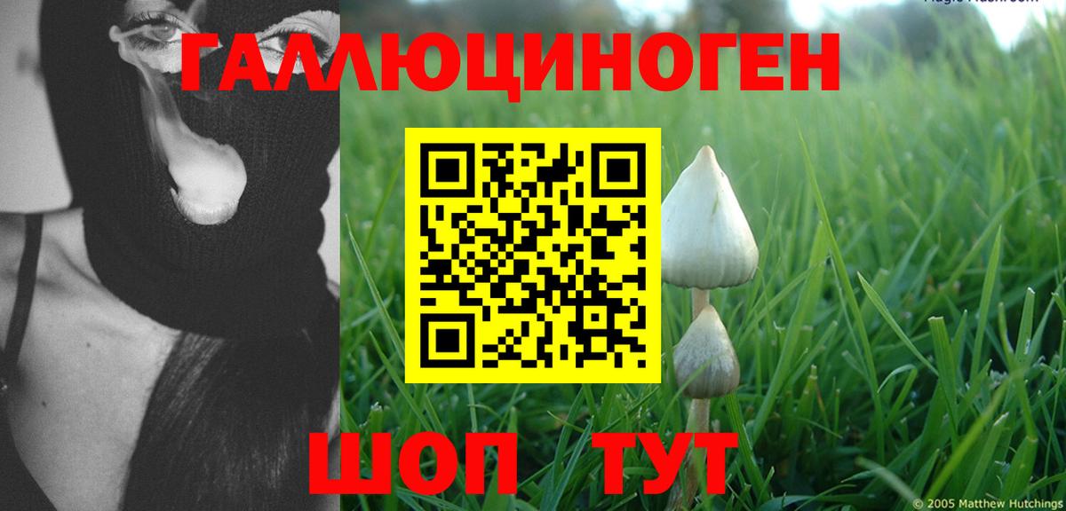 Галлюциногенные грибы Magic Shrooms  Балаково 